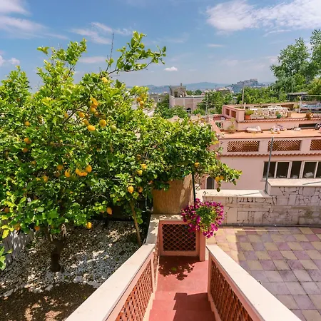 Oda ve Kahvaltı Le Jardin