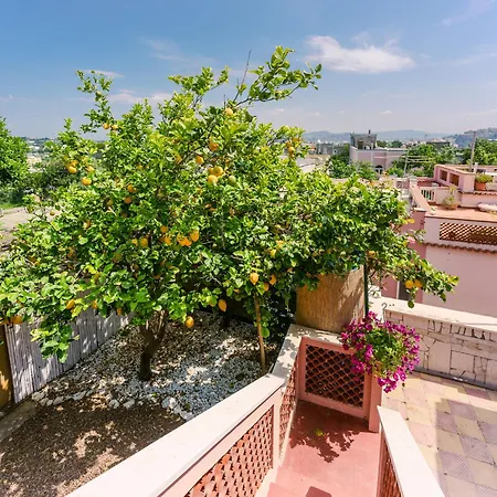 Le Jardin Oda ve Kahvaltı